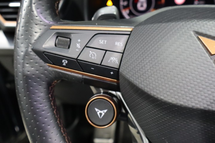 Cupra Formentor VZ 2.0 TSI 4Drive DSG