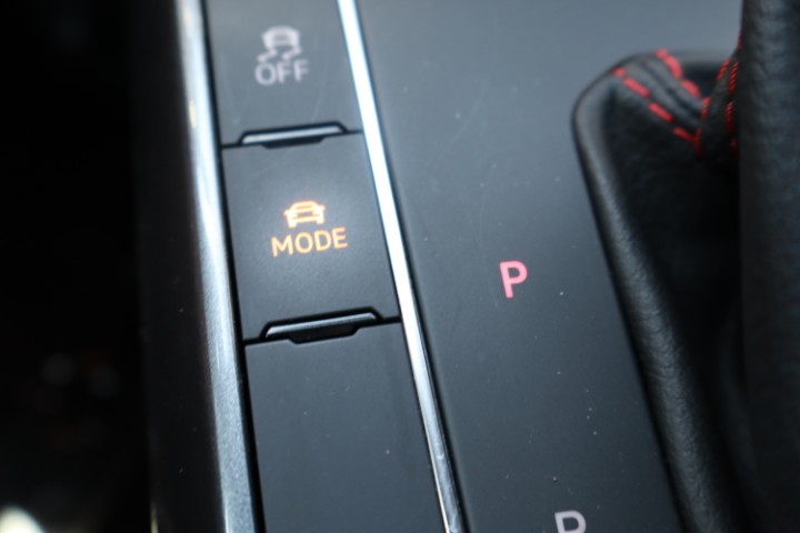 Volkswagen Polo GTI 2.0 TSI DSG